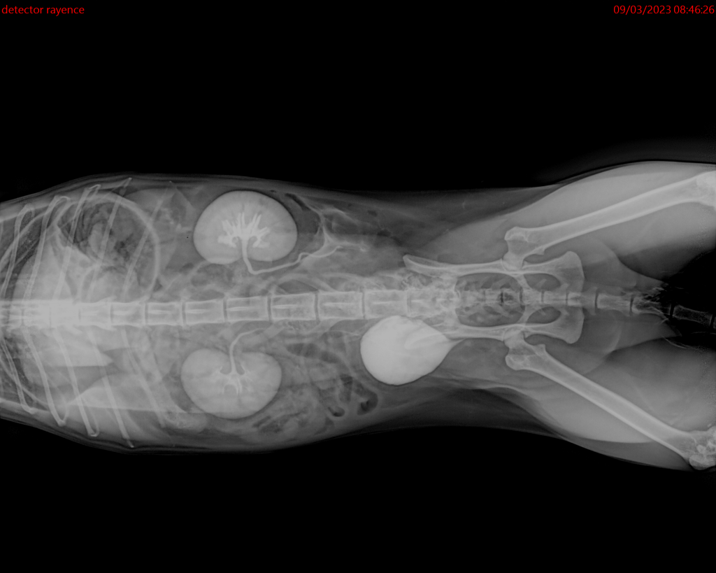 Medical Systems I.K.E.